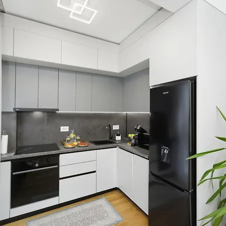 Cecile Paltim - Rafinament Si Confort Premium Apartman Temesvár