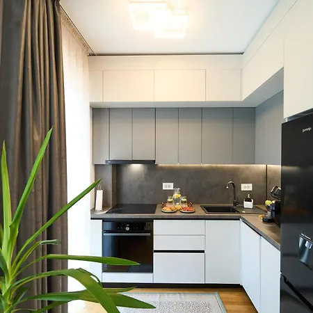 Apartman Cecile Paltim - Rafinament Si Confort Premium Temesvár
